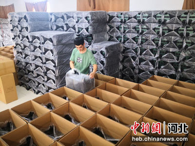 河北白溝 箱包業(yè)與化妝品產業(yè)協(xié)同發(fā)展，上半年收入達73.76億元