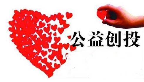 關(guān)于組織參加2017年中國青年社會(huì)組織公益創(chuàng)投大賽山東站選拔賽的通知