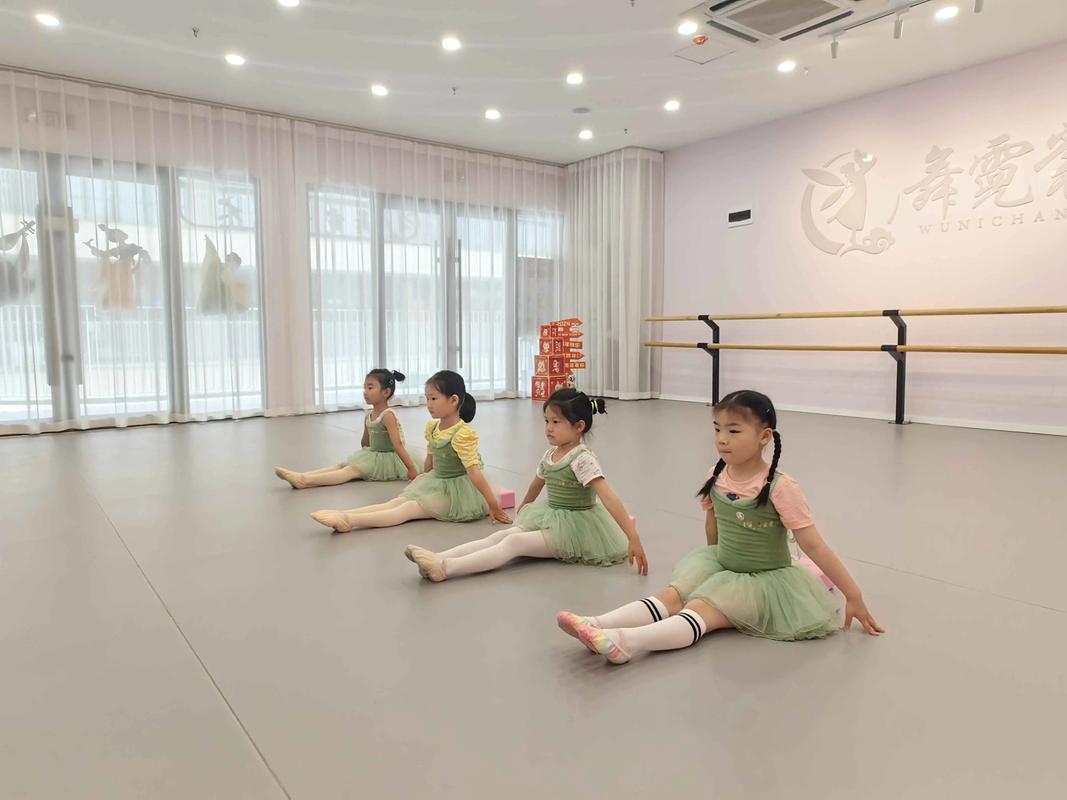 舞霓裳 用心教學(xué)，用愛育人，弘揚(yáng)中國傳統(tǒng)舞蹈之美